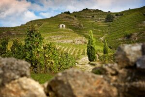 Domaine des Tourettes Vins de la Vallée du Rhône D.R. Delas Frères