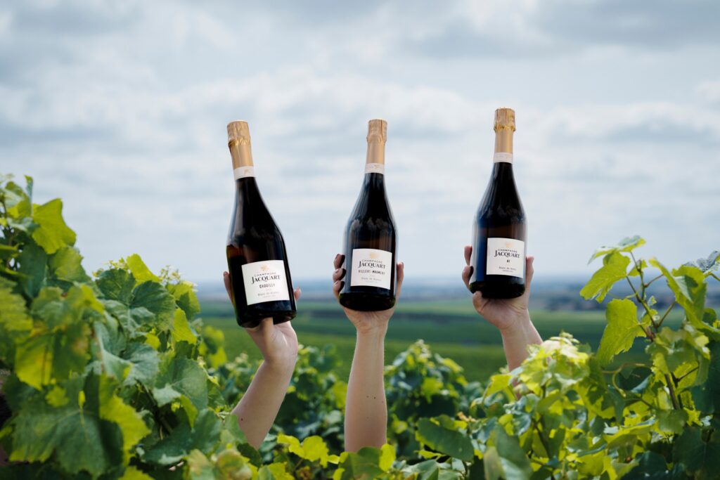 Les champagnes Blanc de blancs de la maison Jacquart