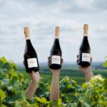 Les champagnes Blanc de blancs de la maison Jacquart