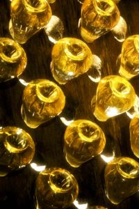 Les plus beaux champagnes millésimés